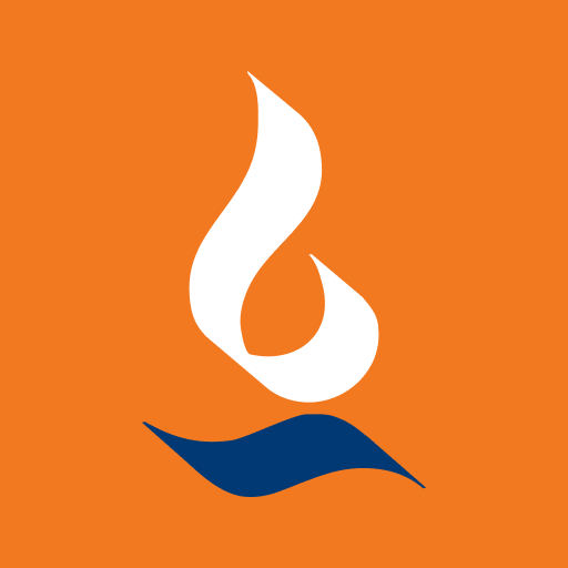 Max Financial logo